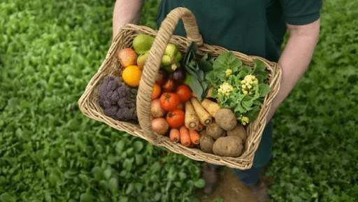 Alimentos ecológicos. Que son: Basemill
